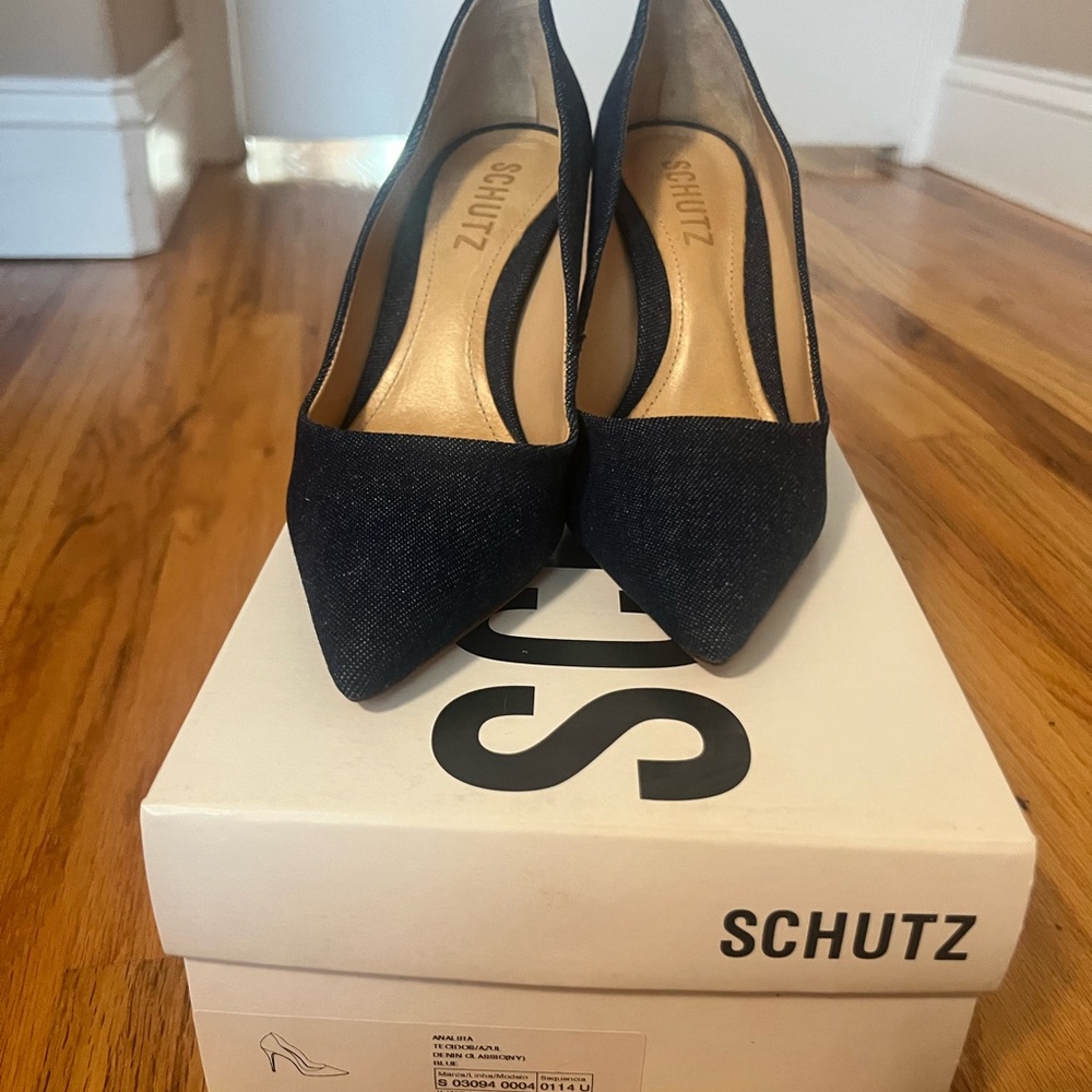 Schutz Stiletto Heels with Suede Finish